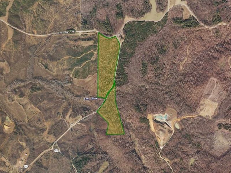 65.5 Acres in Cedar Grove : Cedar Grove : Carroll County : Tennessee