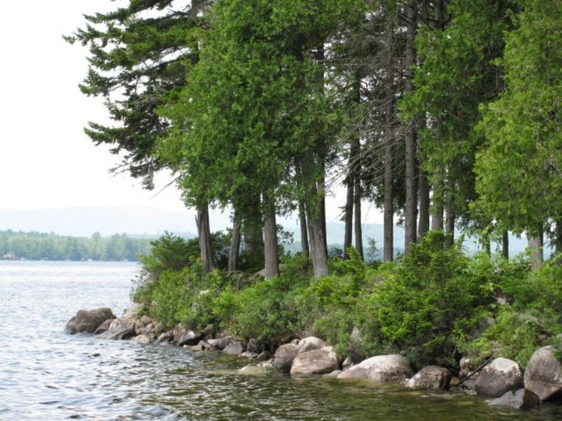 Schoodic Lake Lot & Cabin : Lakeview PLT : Piscataquis County : Maine