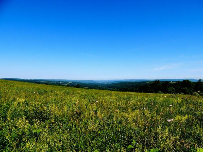 Abandoned Farm, Farm for Sale by Owner in New York, 65601 FARMFLIP