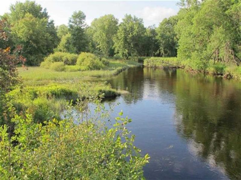 W3202 Browns Lake Road Mls 1075187 : Faithorn : Dickinson County : Michigan