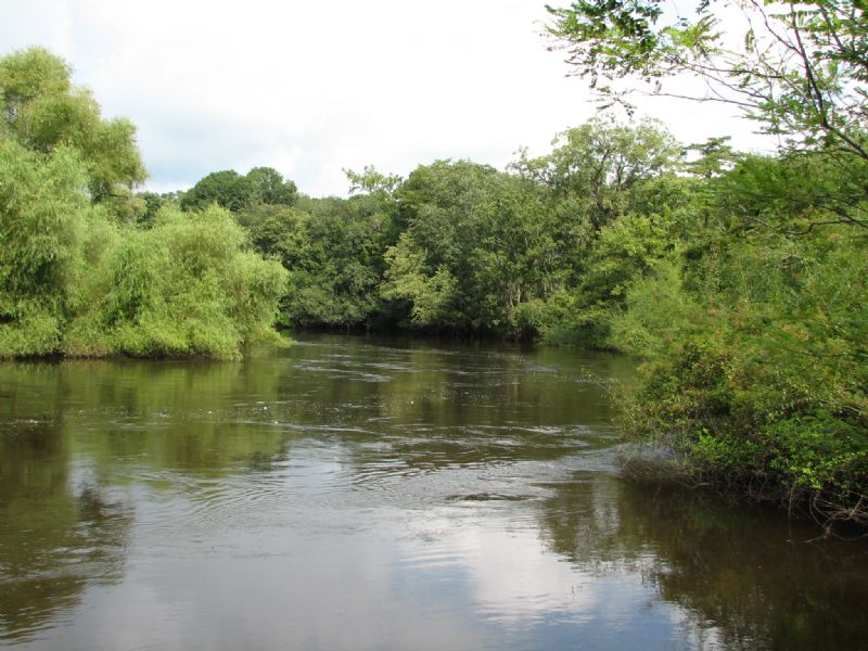 Recreational River Tract : Guyton : Effingham County : Georgia