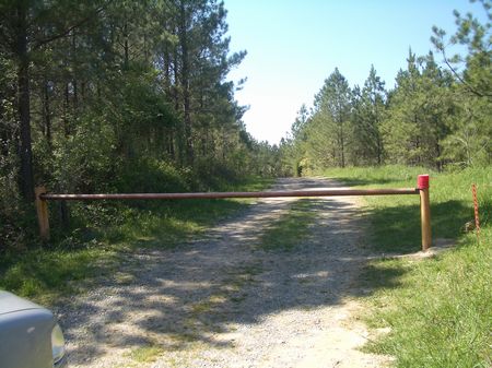 293 Acres Horseshoe Loop- Barnsley : Adairsville : Bartow County : Georgia