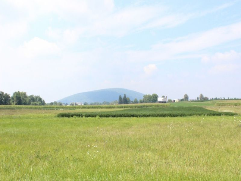 140+/ Acres Of Prime Farm Land, Farm Auction in Pennsylvania, 66384