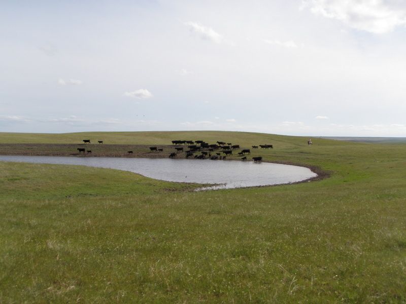 Dakota Plains Farm, Farm for Sale in South Dakota, 66656 FARMFLIP