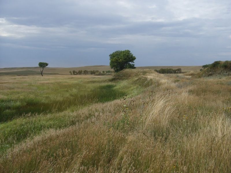 North Grand River Runs Through It, Farm for Sale in South Dakota