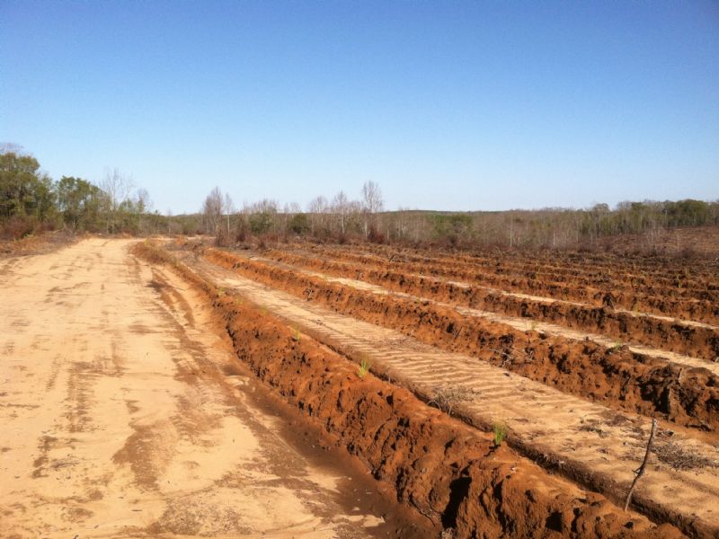 Renfroe 3 : Cusseta : Stewart County : Georgia
