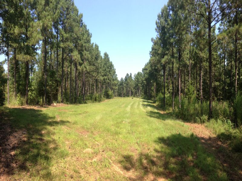 Carlton Tract : Carlton : Oglethorpe County : Georgia