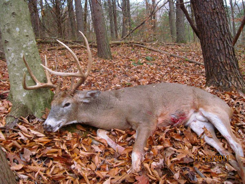 Great Deer Hunting, Farm for Sale in Kentucky, 66830 FARMFLIP