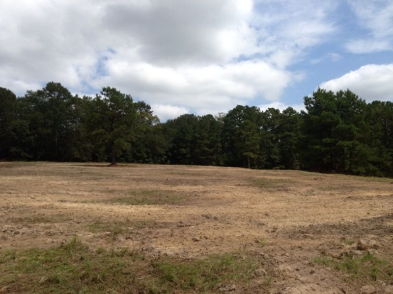 40 +/- Acres with 5 +/- Pond : Troy : Pike County : Alabama
