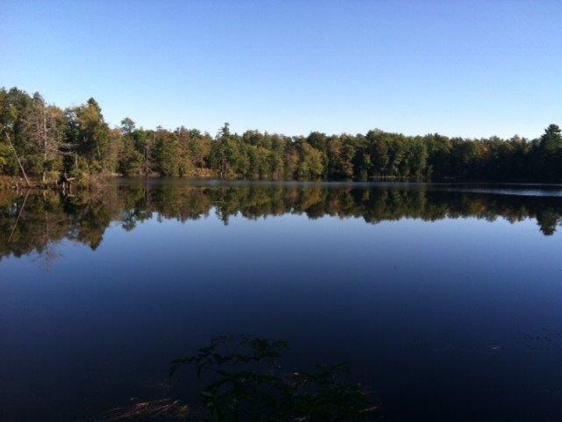 Waterfront Cabin Near Syracuse Ny : Constantia : Oswego County : New York