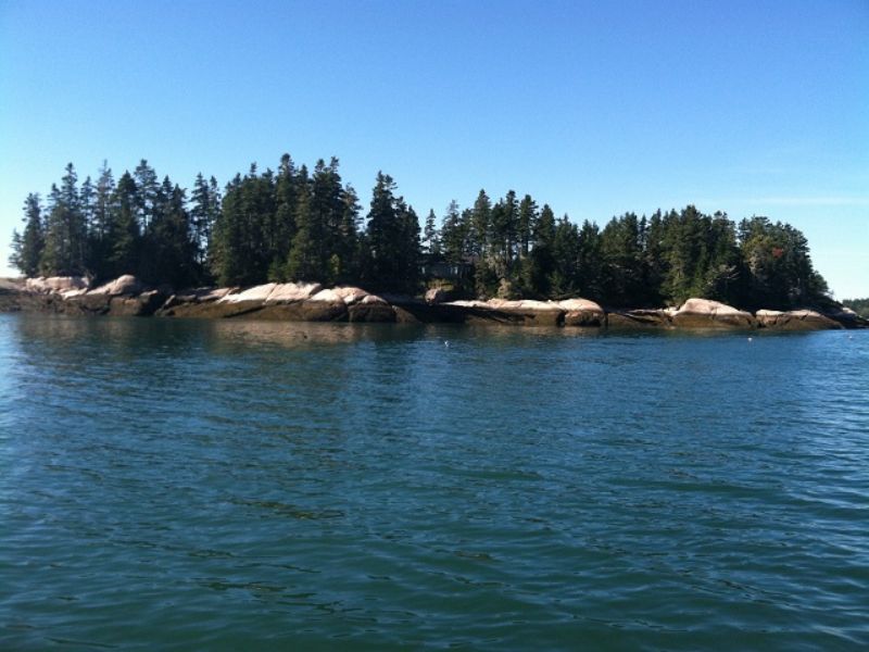 Mink Island : Beals : Washington County : Maine