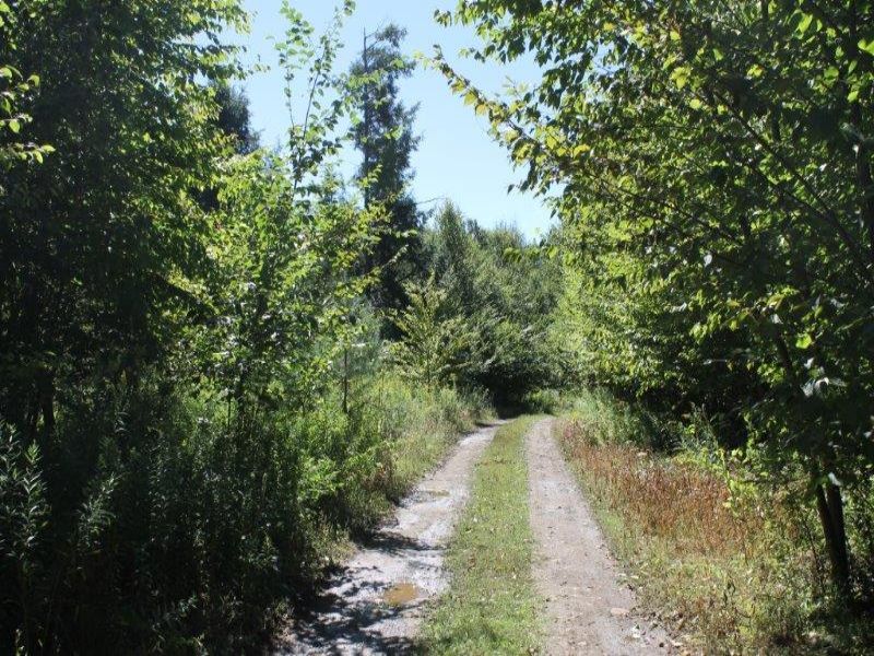 5 Acres Near Salmon River Private : Williamstown : Oswego County : New York