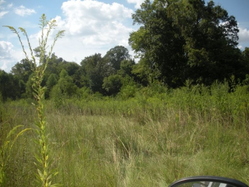 200 +/- Ac. Commercial Property : Opelousas : Saint Landry Parish : Louisiana