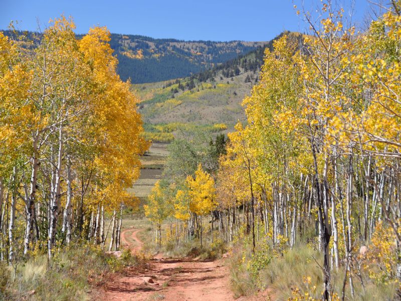 Red Hill Ranch, Farm for Sale in Colorado, 67537 FARMFLIP