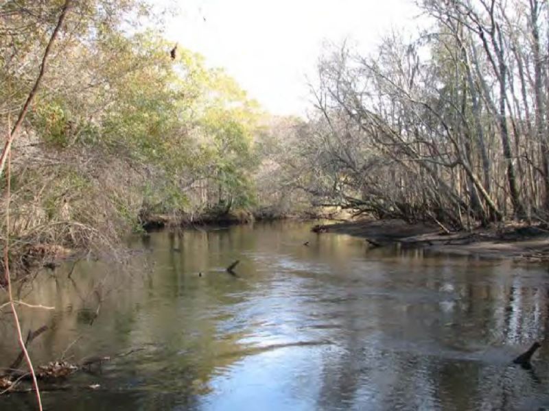 Great Ogeechee River Preserve, Farm for Sale in 67679 FARMFLIP