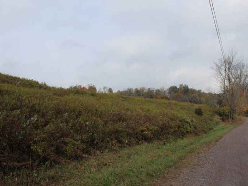 66 +/ Acres Of Land, Farm for Sale in Pennsylvania, 67706 FARMFLIP