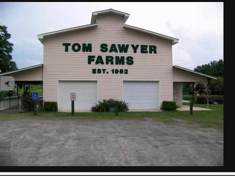 Active Working Farm : Cochran : Dodge County : Georgia