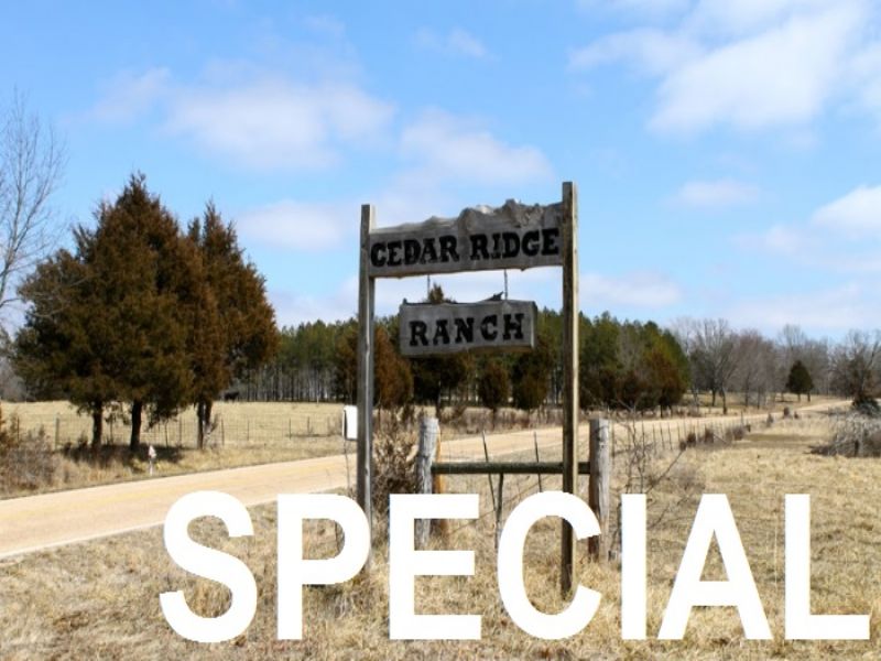3 To 12 Acres Cedar Ridge Ranch : Rolla : Phelps County : Missouri