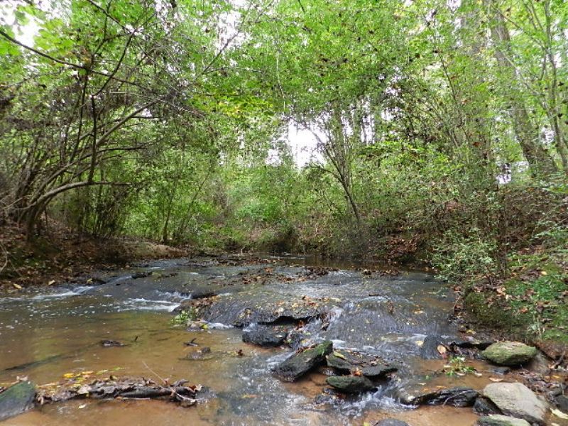 169 Acre Tobesofkee Creek Farm Farm for Sale in Barnesville, Lamar