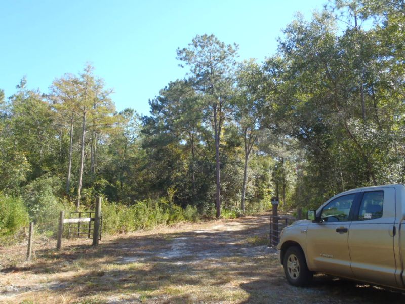 Patelidas Parcel 1 : Darien : McIntosh County : Georgia