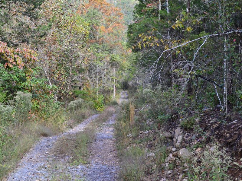 110 Acres Of Hunting Land for Sale : Harriet : Marion County : Arkansas