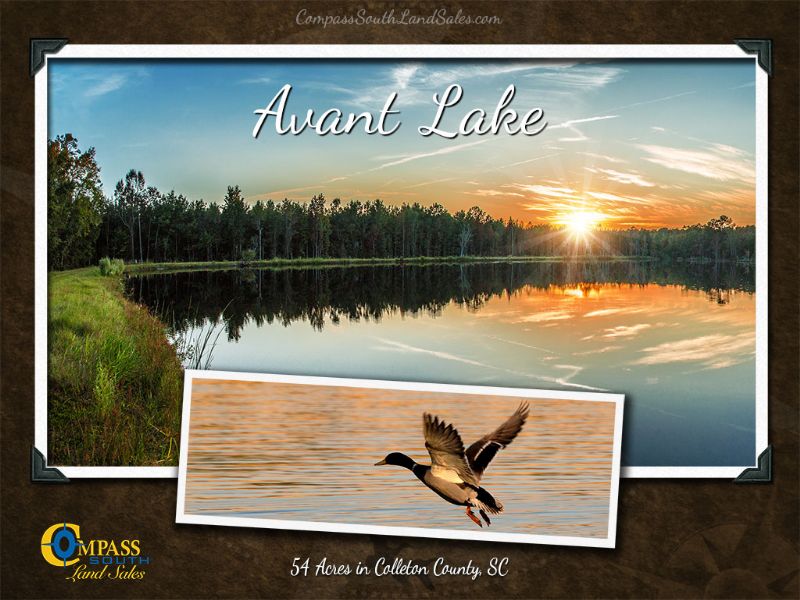 Avant Lake : Walterboro : Colleton County : South Carolina