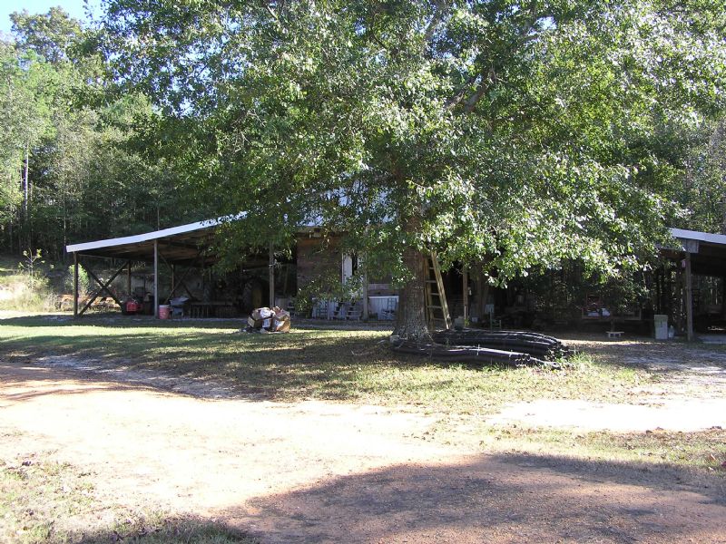 Highland Home 57 Acres : Highland Home : Crenshaw County : Alabama