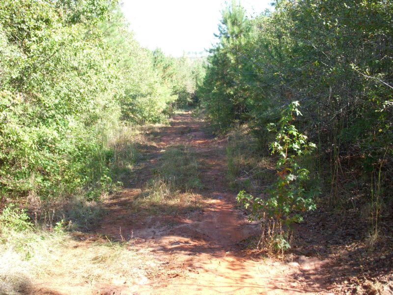 Longview Tract Farm for Sale in Irwinton, Wilkinson County,