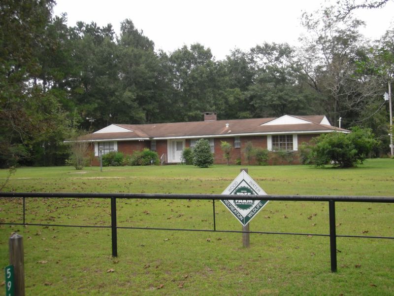Hunting Land : Belleville : Conecuh County : Alabama