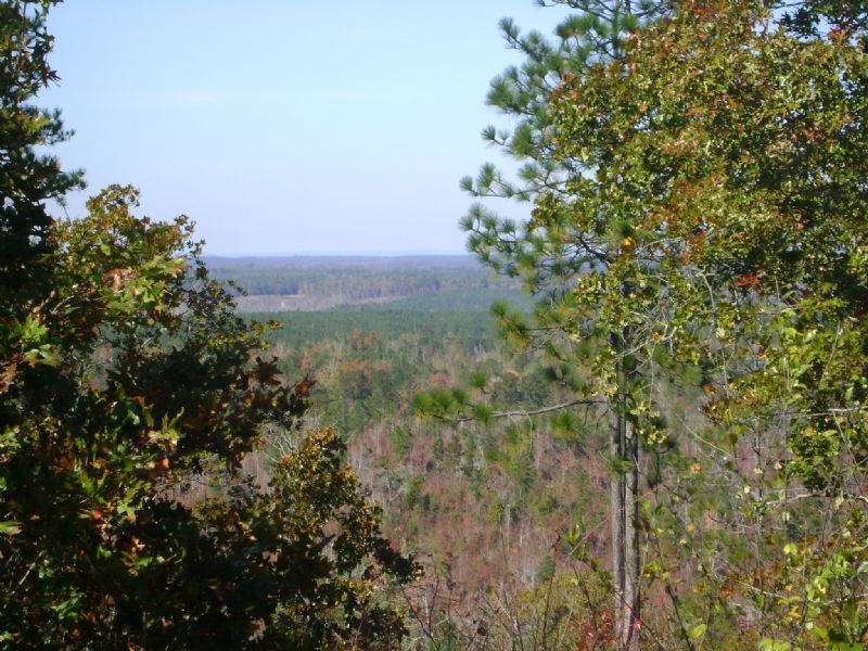 Chandler Mountain Tract, Farm for Sale in Alabama, 68882 FARMFLIP