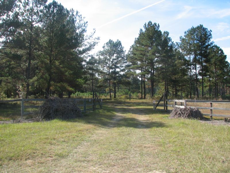 Ohoopee River Hills : Cobbtown : Tattnall County : Georgia