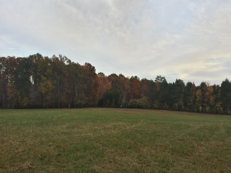 28.5 Acres - Hermitage Meadows : Stafford : Stafford County : Virginia