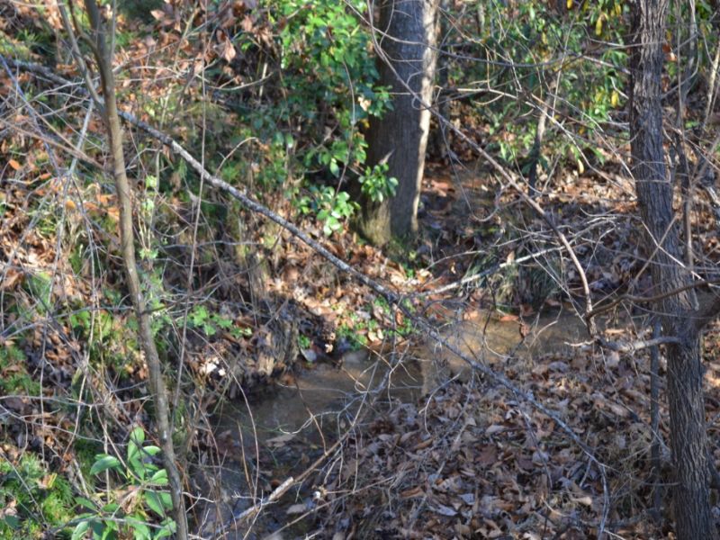 9.25 Acres in Travelers Rest : Travelers Rest : Greenville County : South Carolina