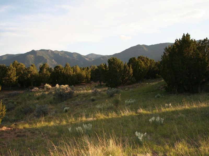 42.76 Acres Mountain Land for Sale, Farm for Sale by Owner in Colorado