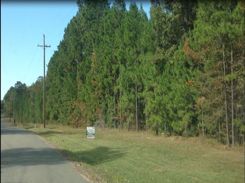 93+/- Acres for Sale Pineville, La : Pineville : Rapides Parish : Louisiana
