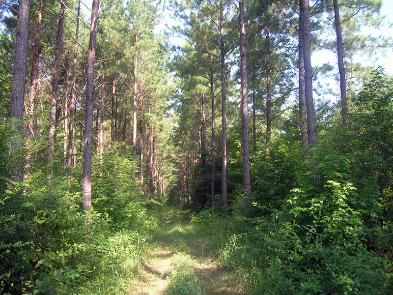 27-011 Blackwell Bend Recreational : Selma : Dallas County : Alabama