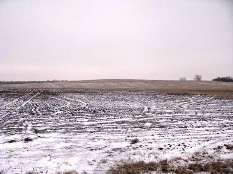 154 Acre Miner County Land Auction, Farm Auction in South Dakota