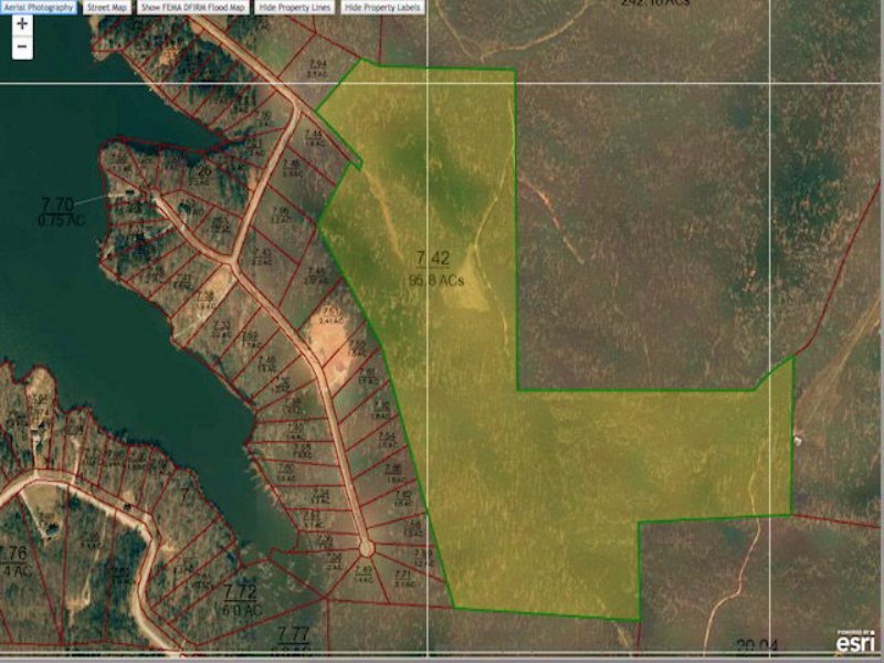 95.8 Acre Tract in Indian Lake : Cedar Grove : Carroll County : Tennessee