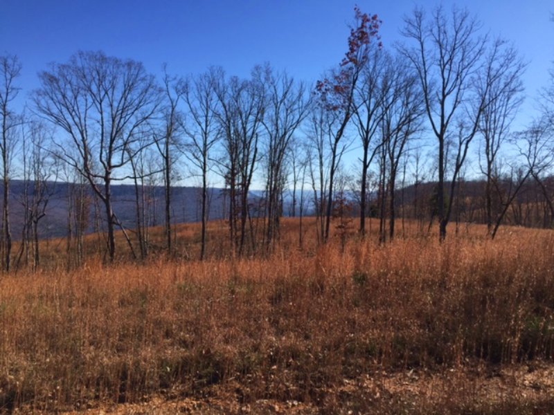 Owner Financing 7.44 +/- Acres : Sewanee : Marion County : Tennessee
