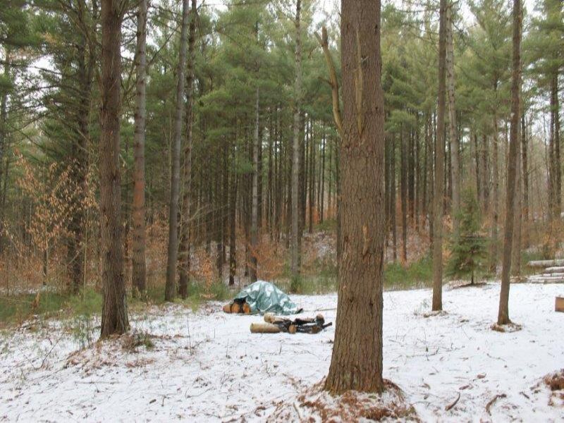 6 Acres Borders State Forest Creek : Greig : Lewis County : New York