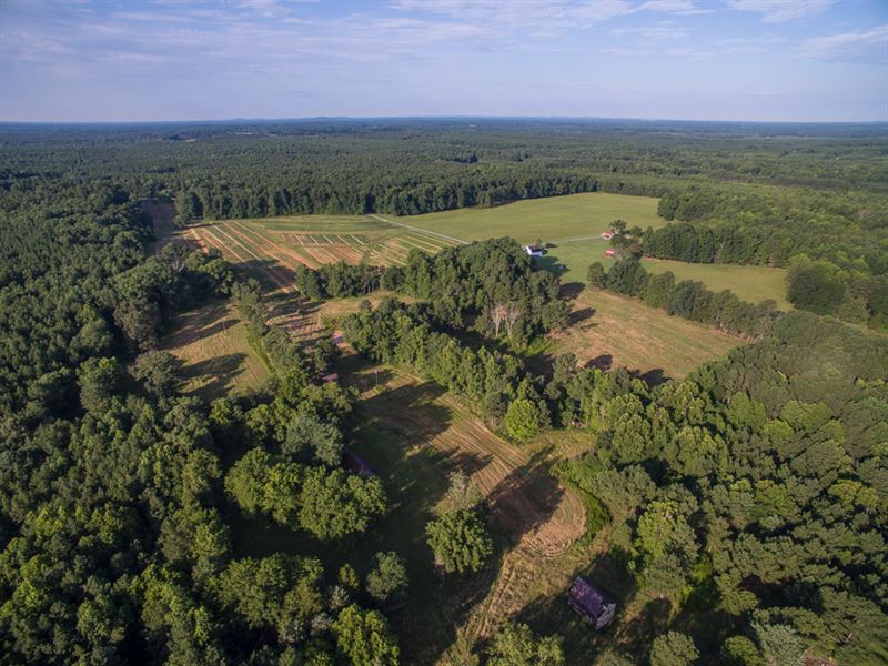 Tranquility Plantation, Farm for Sale in North Carolina, 69823 FARMFLIP