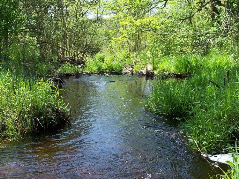 25 Acres Farmland Stream Woods : Pharsalia : Chenango County : New York