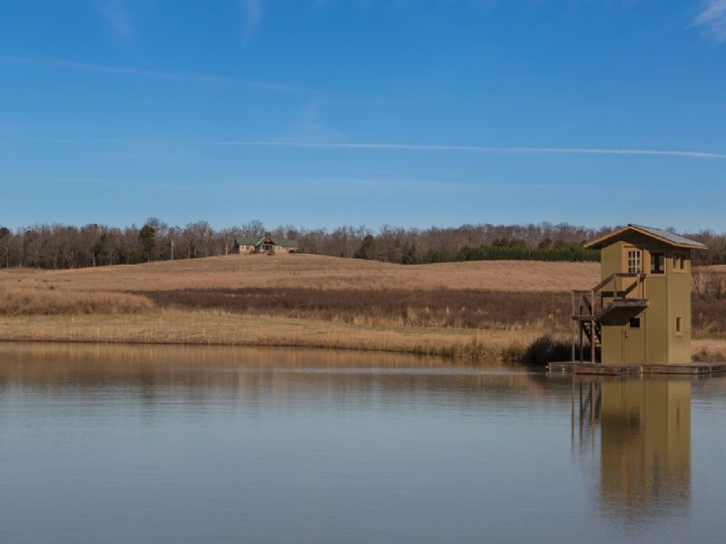 225 Acre Farm with Home, Farm for Sale in South Carolina, 70009 FARMFLIP