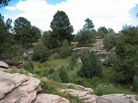 Running Creek Preserve : Elbert : Elbert County : Colorado