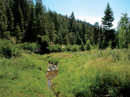 Rancho Cañada : Guadalupita : Mora County : New Mexico