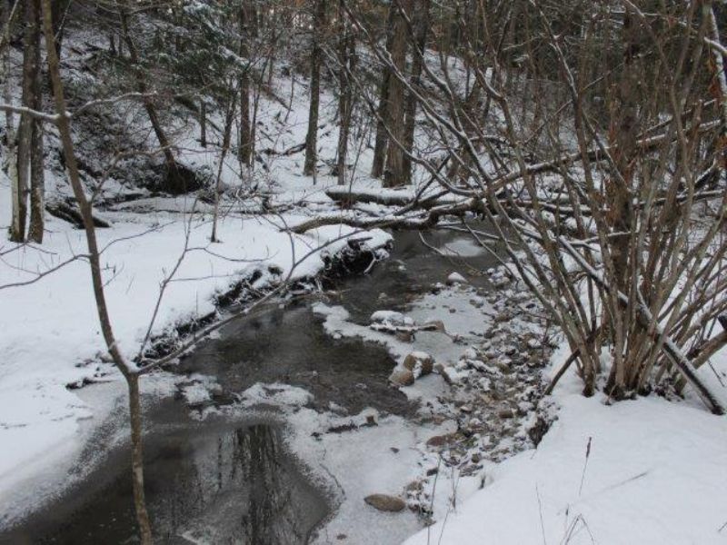 32 Acres Adirondacks with Stream : Norway : Herkimer County : New York