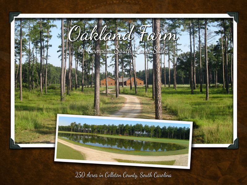 Oakland Farm : Ruffin : Colleton County : South Carolina