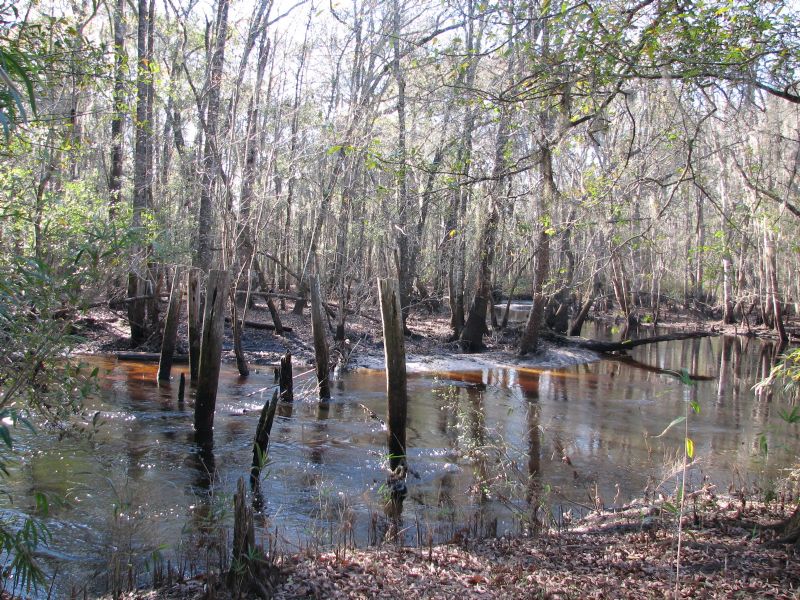 Lotts Creek Trestle : Nevils : Bulloch County : Georgia