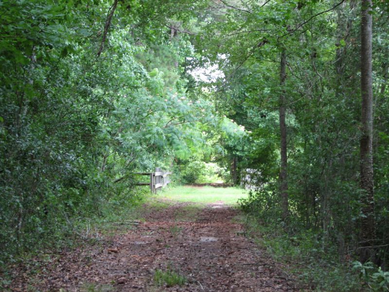 Moss Ridge Homestead : Nevils : Bulloch County : Georgia