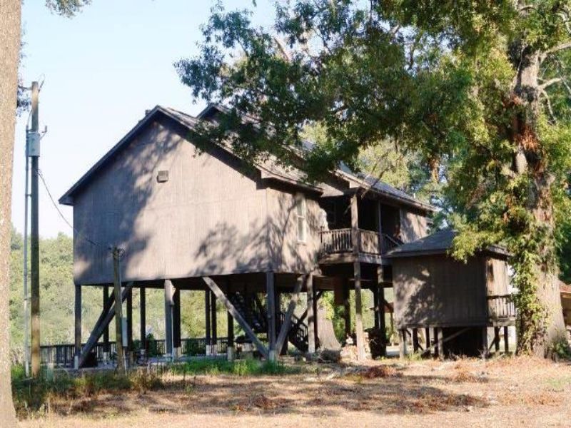 Pin Oak Flats : Holly Bluff : Sharkey County : Mississippi